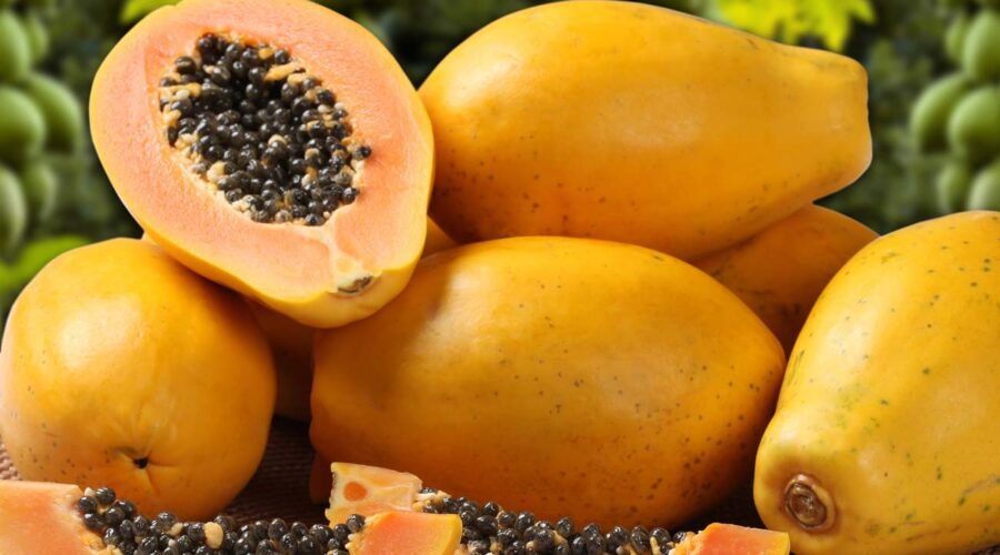 A picture of ripe papayas